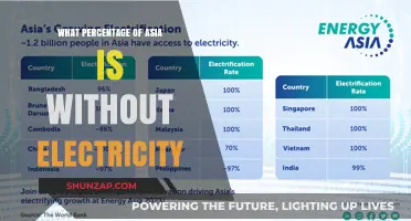 Access to Electricity: Asia's Dark Areas