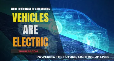 The Electric Revolution: Autonomous Vehicles and Their Green Future