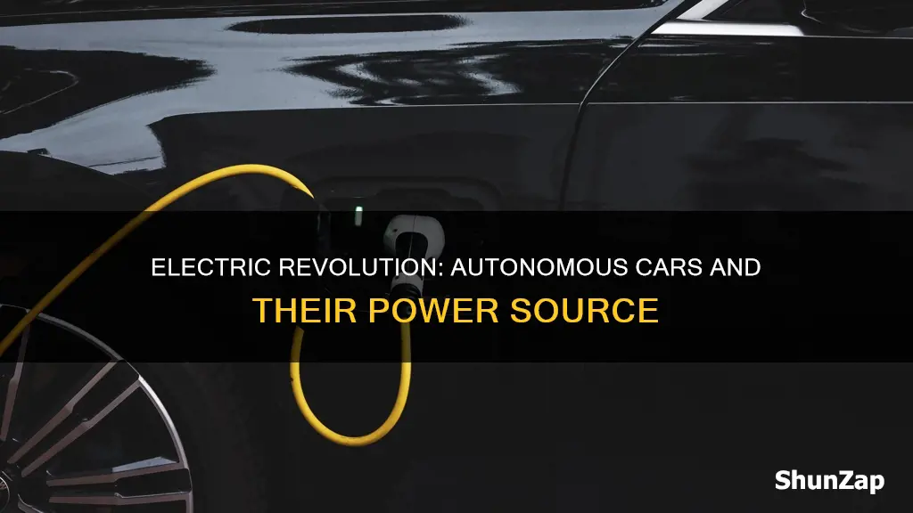 what percentage of autonomous vehicles are electric