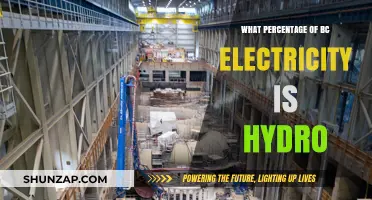 Hydroelectric Power: BC's Primary Energy Source