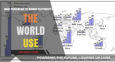 Global Biomass Electricity Usage: Understanding Its Share in World Energy