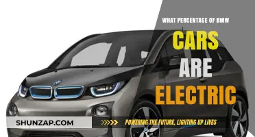 Exploring BMW's Electric Fleet: Percentage of EVs in Their Lineup