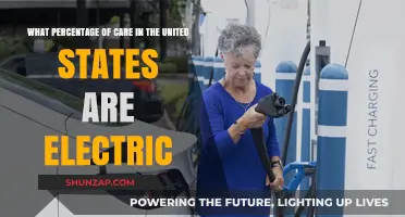 Electric Care in the US: Current Adoption and Growth Trends