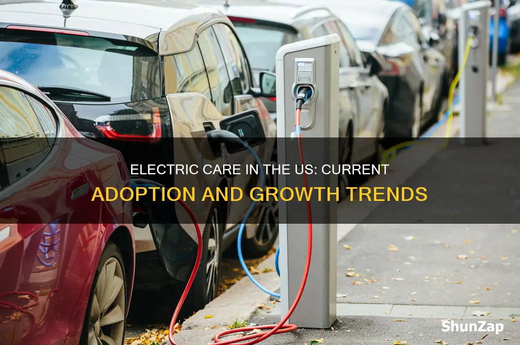 what percentage of care in the united states are electric