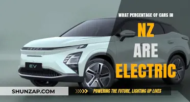 Electric Vehicles in New Zealand: Current Adoption Rates and Trends