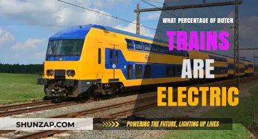 Electric Trains in the Netherlands: What's the Percentage?