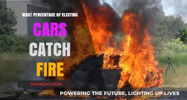 Electric Car Fire Risks: Debunking Myths and Analyzing Actual Statistics