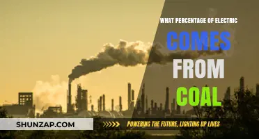 How Much Electricity Comes From Coal?