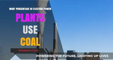 Coal's Role: Percentage of Electric Power Plants Still Relying on Coal