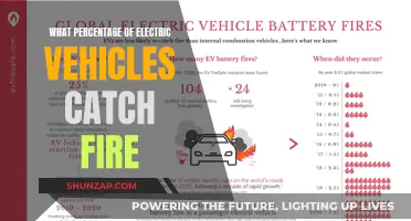 Electric Vehicle Fire Risk: Unveiling the Truth Behind the Statistics