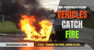 Are Electric Vehicles Prone to Catching Fire?