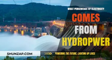 Hydropower's Share in the Energy Mix