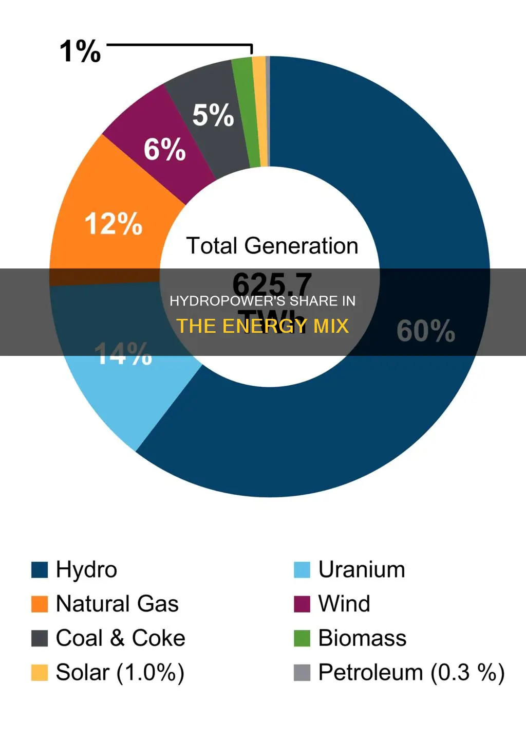 what percentage of electricity comes from hydropwer