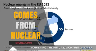 Nuclear Power's Contribution to Global Electricity Supply