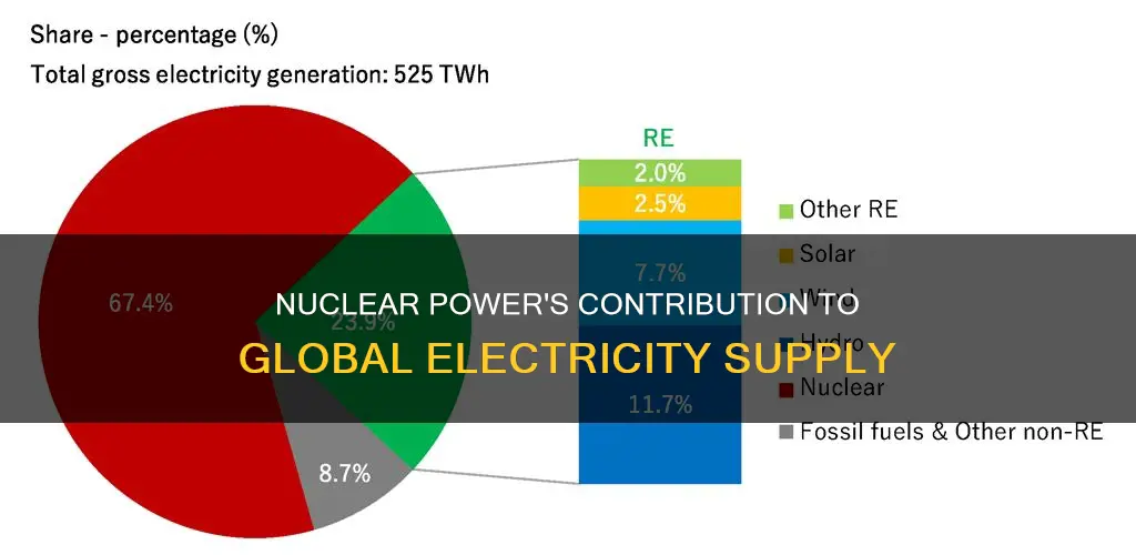 what percentage of electricity comes from nuclear