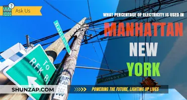 Manhattan's Electricity Consumption: Unveiling the Borough's Power Usage Percentage