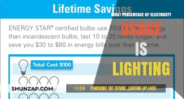 Lighting's Electricity Usage: What's the Percentage?