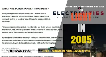 2005 Lighting Energy Consumption: What Percentage Powered the Lights?