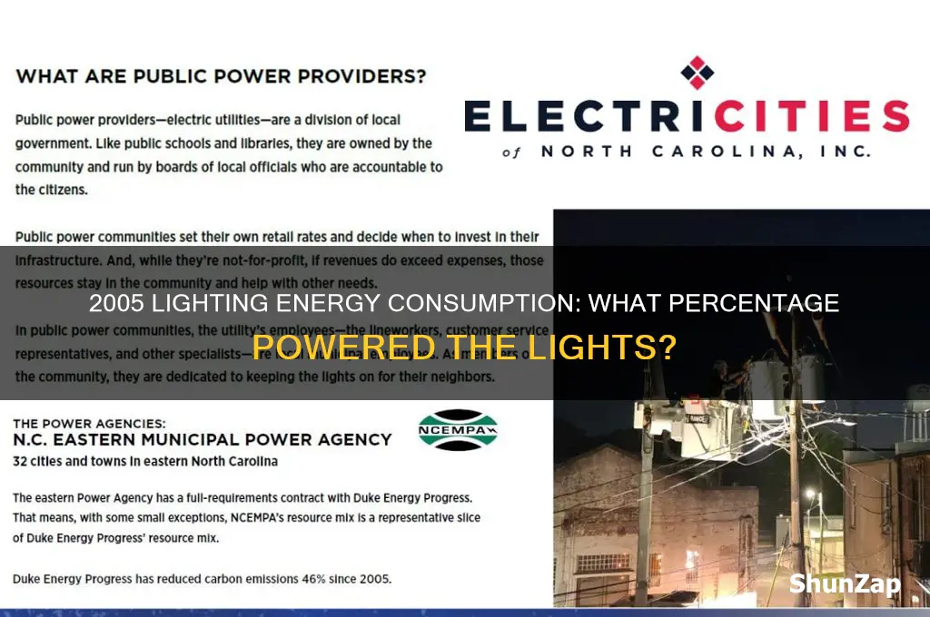 what percentage of electricity was used for light in 2005
