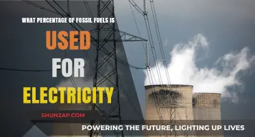 Fossil Fuels Dominance: Electricity Generation's Reliance on Non-Renewables