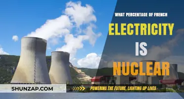 Nuclear Power's Dominance in France's Energy Mix