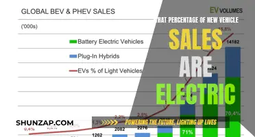 Electric Vehicles: The Rising Share in New Car Sales