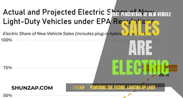 Electric Cars: The Future of New Vehicle Sales?