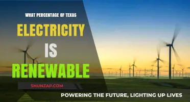 Renewable Energy in Texas: What's the Current Mix?