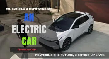 Electric Car Ownership: How Much of the Population Has Gone Green?