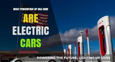 Electric Vehicles in the USA: Current Adoption Rates and Trends