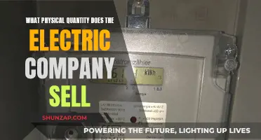 Understanding the Electric Company's Sold Physical Quantity