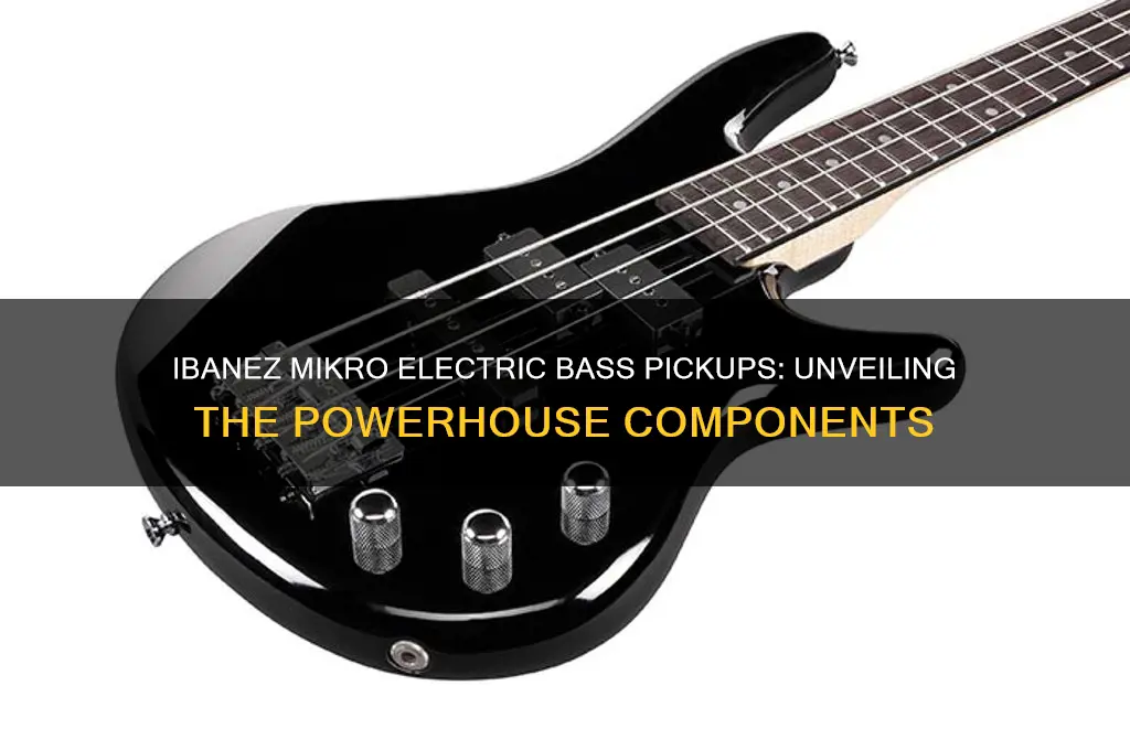 what pickups does an ibanez mikro electric bass use