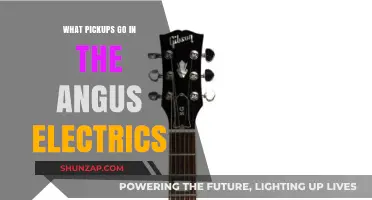 Angus Electric Guitars: Pickups and Their Unique Sound