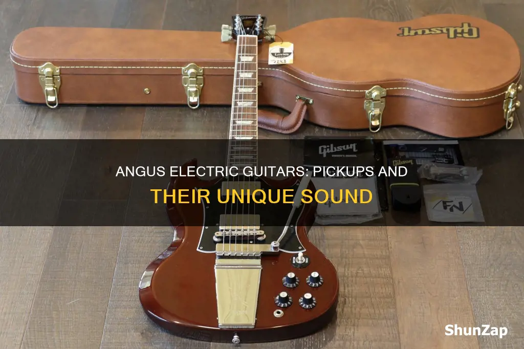what pickups go in the angus electrics