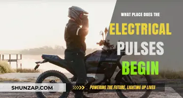 Where Do Electrical Pulses Originate?