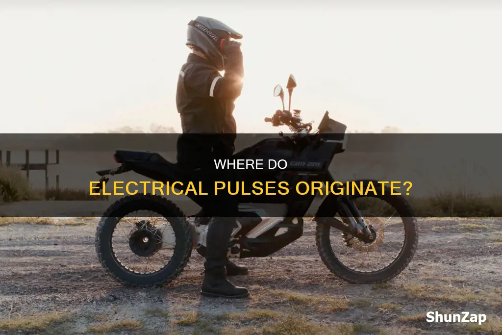 what place does the electrical pulses begin