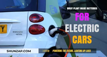 Revolutionizing Electric Car Batteries: Plants Powering Sustainable Energy Storage
