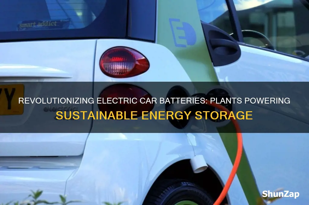 what plant make batteries for electric cars