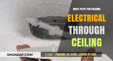 Electrical Ceiling Plates: A Guide to Choosing the Right One