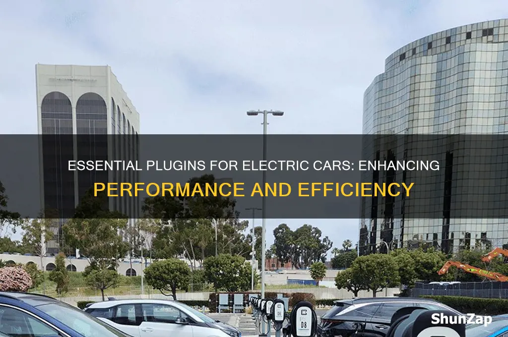 what plugin do electric cars need