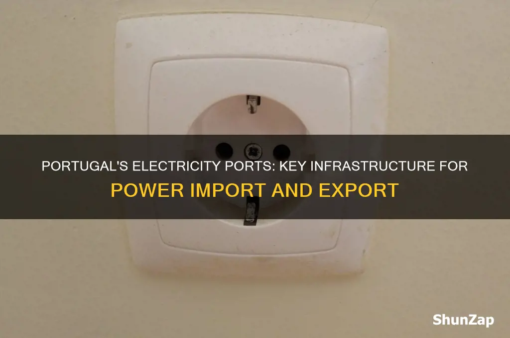 what ports does portugal use for electricity