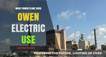 Owen Electric's Power Source: Unveiling the Plant Behind the Energy