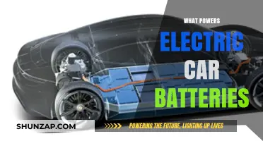 Electric Car Batteries: Unveiling the Energy Sources Behind Sustainable Mobility