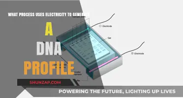 Electrophoresis: The Electric Process Behind DNA Profiling Explained