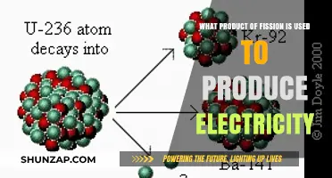 How Fission Byproduct Uranium-235 Powers Nuclear Electricity Generation