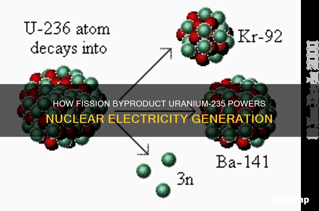 what product of fission is used to produce electricity
