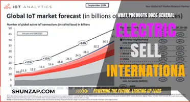 General Electric's International Product Portfolio