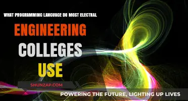 Top Programming Languages Taught in Electrical Engineering Colleges Today