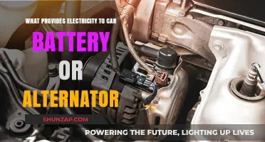 Car Battery vs. Alternator: Which Powers Your Vehicle's Electrical System?