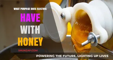 Electric Honey's Surprising Benefits and Uses